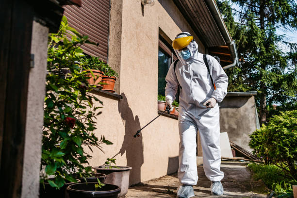 Insect Control in Weldon, NC
