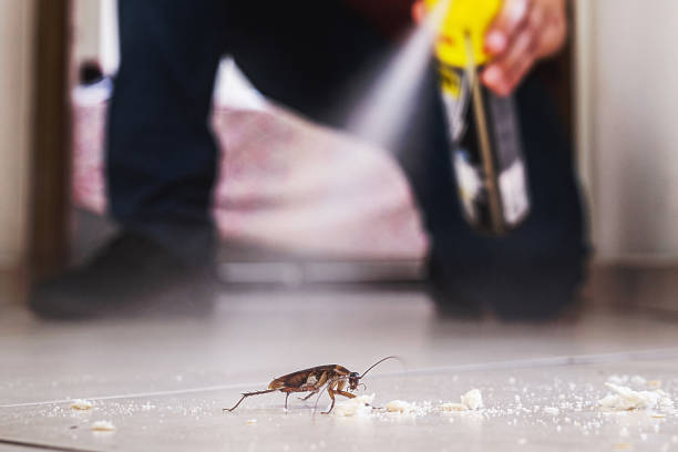 Pest Prevention Services in Weldon, NC