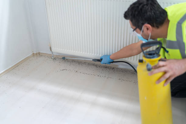 Trusted Weldon, NC Pest Control Experts